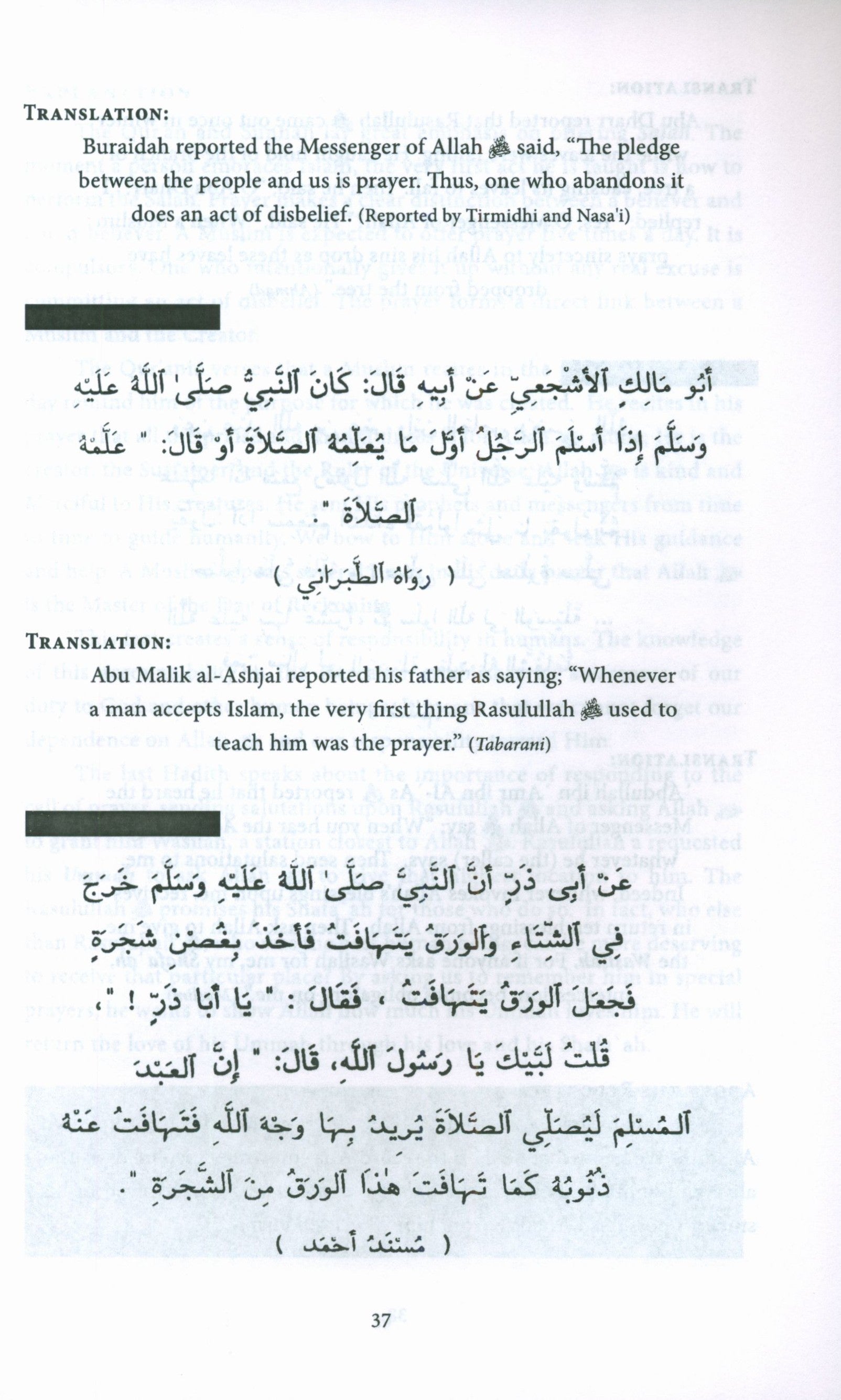A Study of Hadith