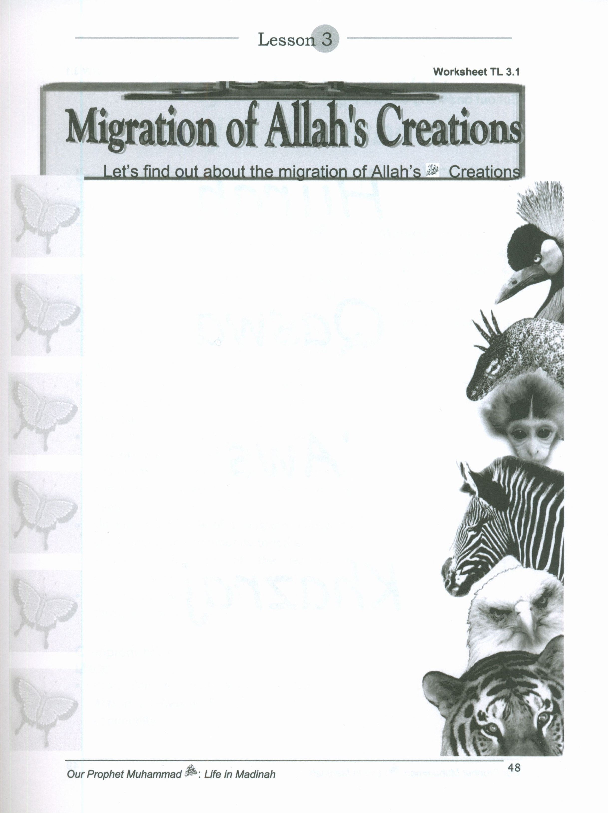 Sirah of our Prophet Grade 3: Teacher's Manual