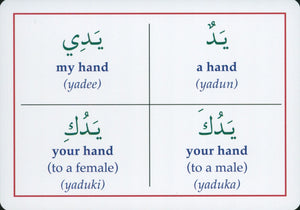 Gateway to Arabic Flashcards Set 2 مفتاح العربية