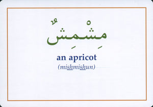 Gateway to Arabic Flashcards Set 3 مفتاح العربية