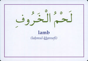 Gateway to Arabic Flashcards Set 4 مفتاح العربية
