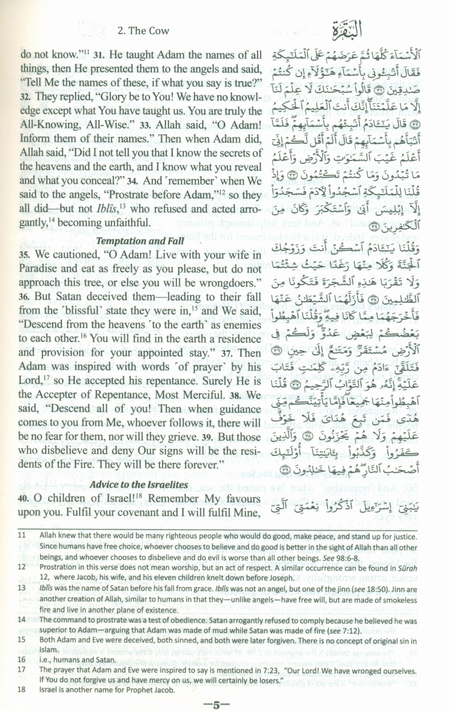 The Clear Quran with Arabic Text - Parallel Edition Hardcover