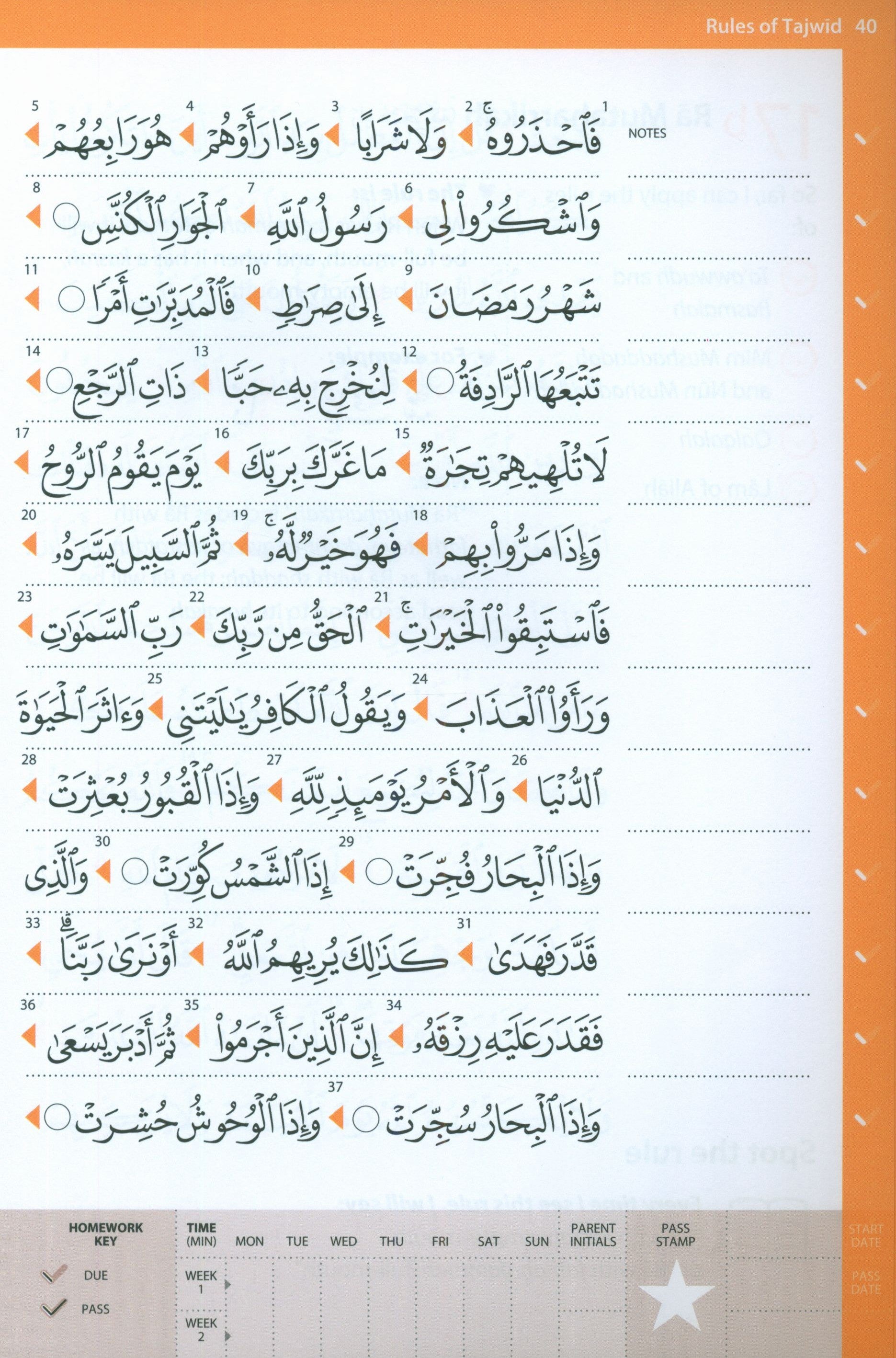 Rules of Tajwid (Madinah Script)