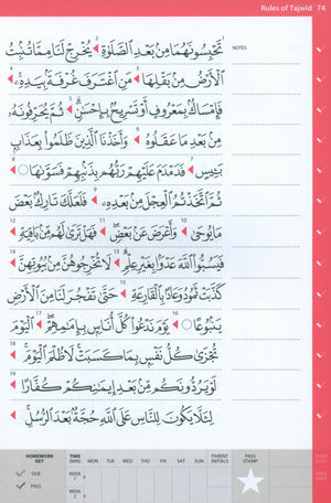 Rules of Tajwid (Madinah Script)