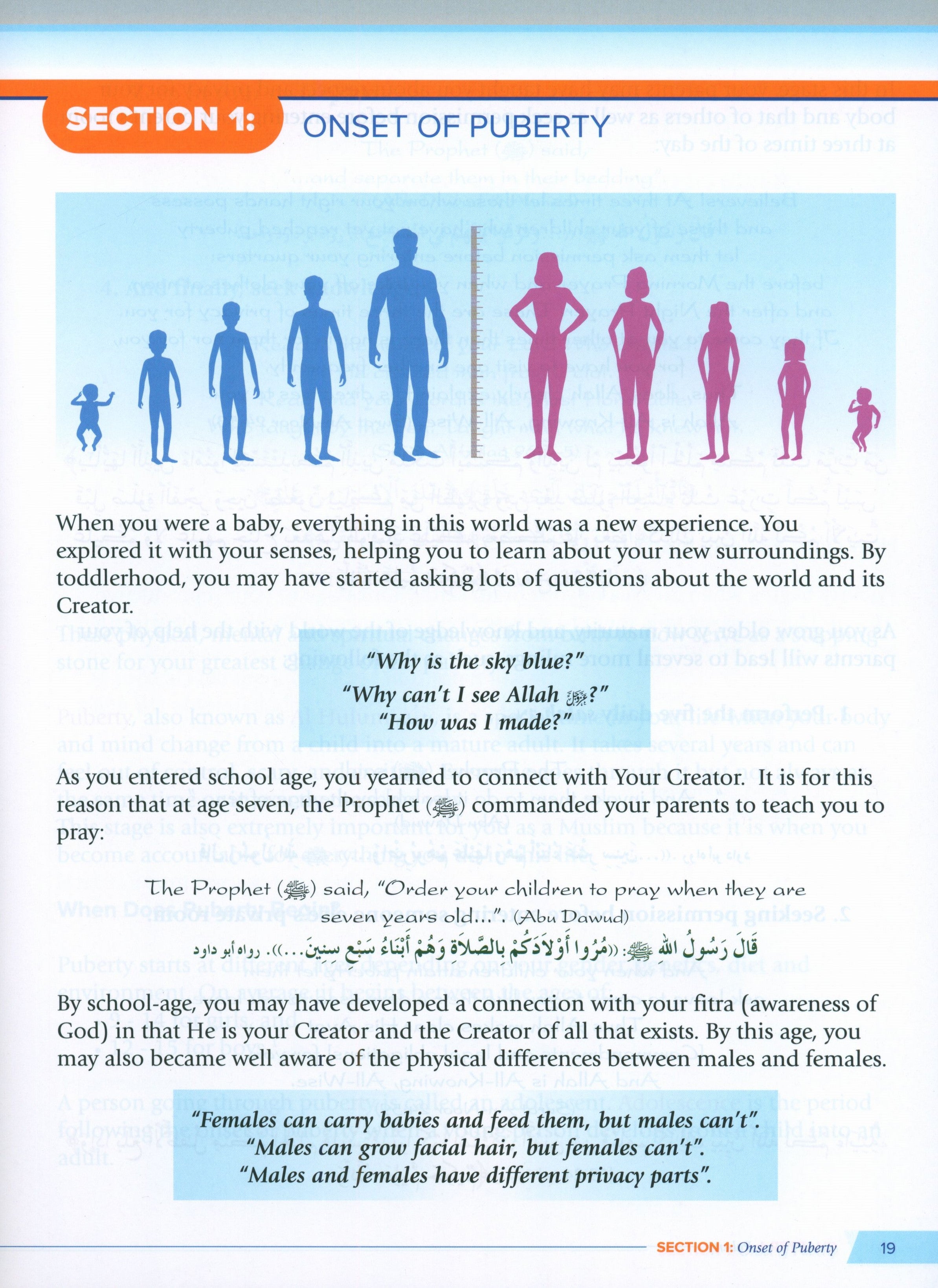 Health and Wellness (From an Islamic  Perspective) Leve 2
