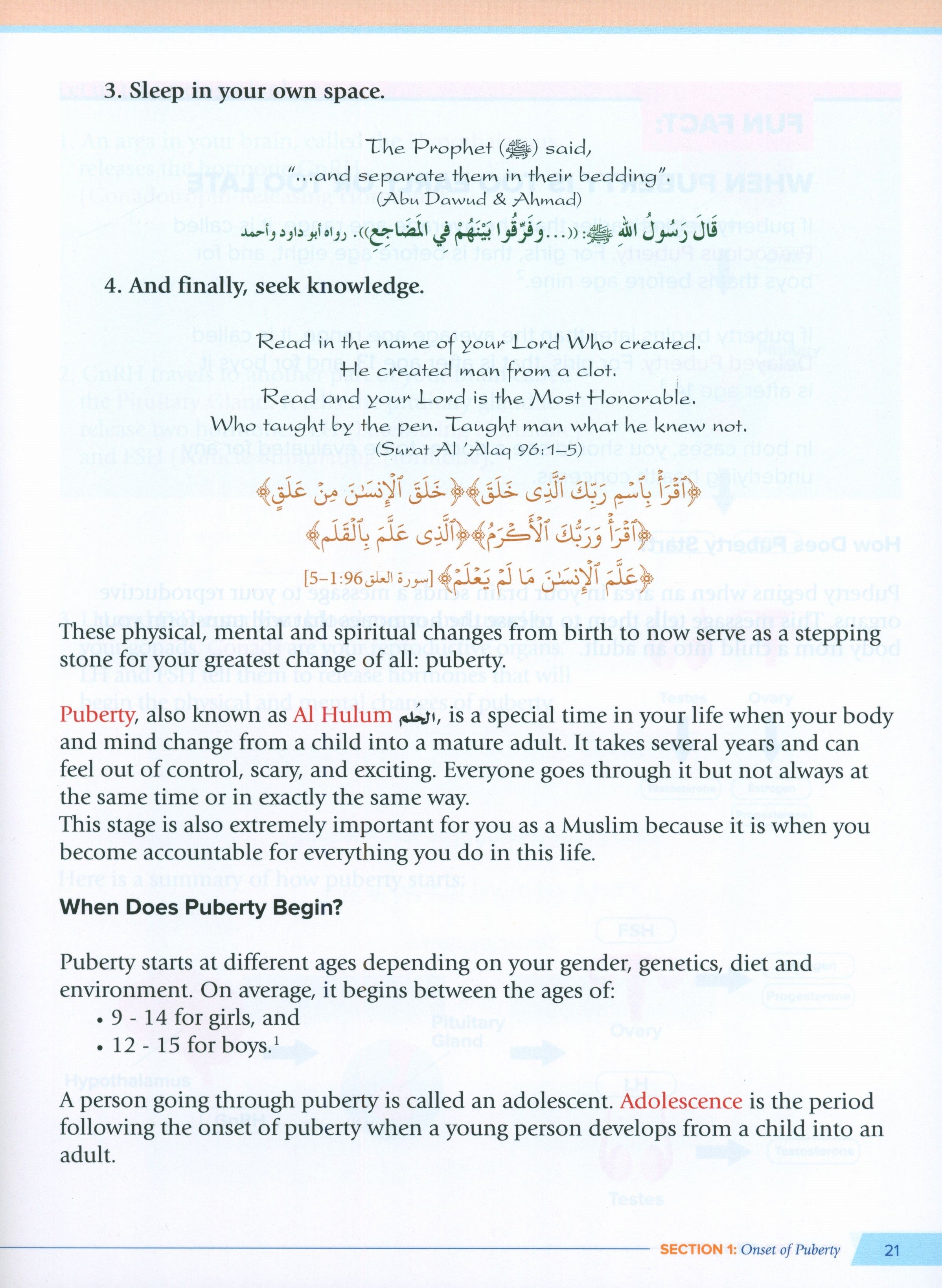 Health and Wellness (From an Islamic  Perspective) Leve 2