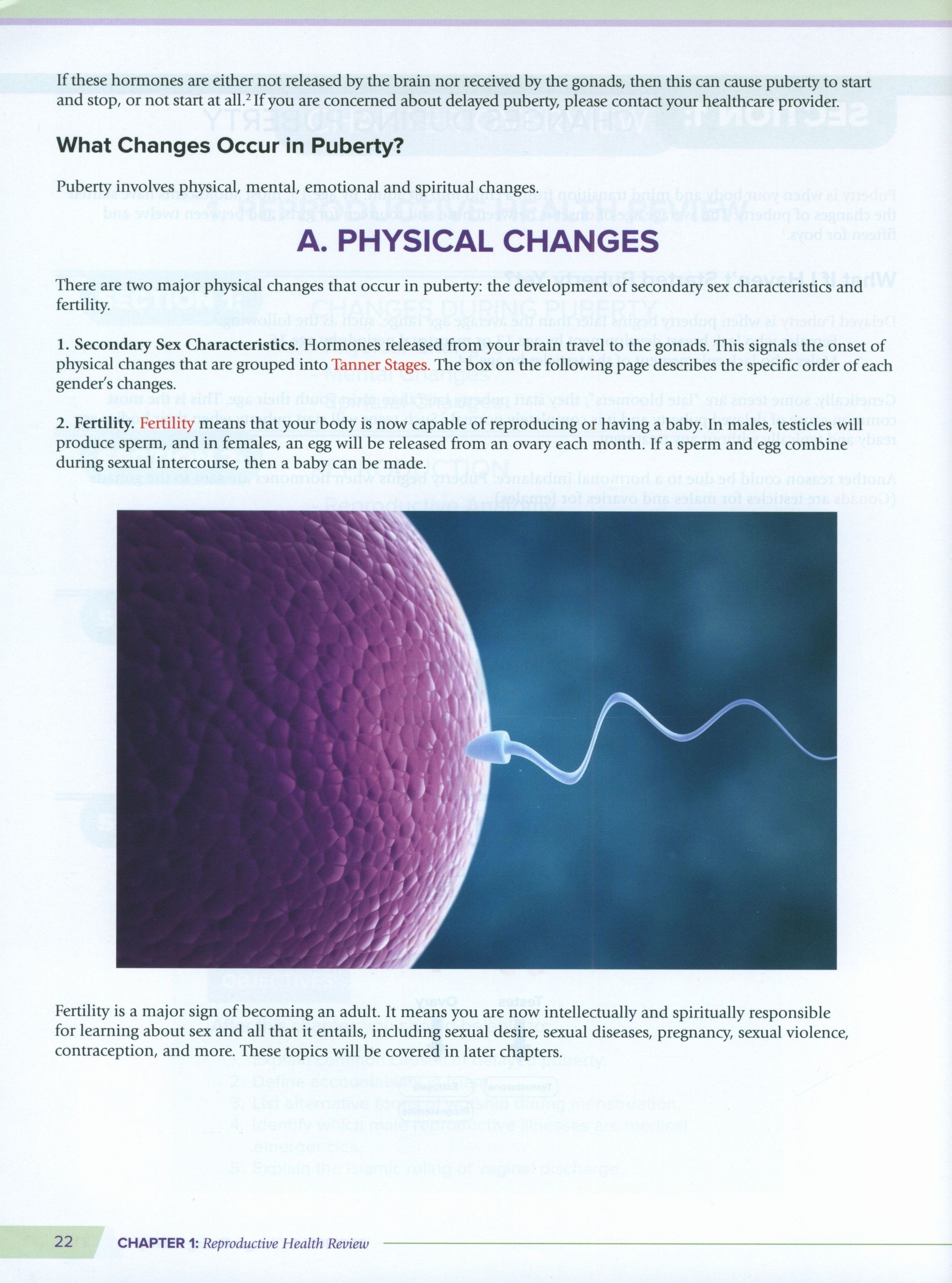 Health and Wellness (From an Islamic  Perspective) Leve 5