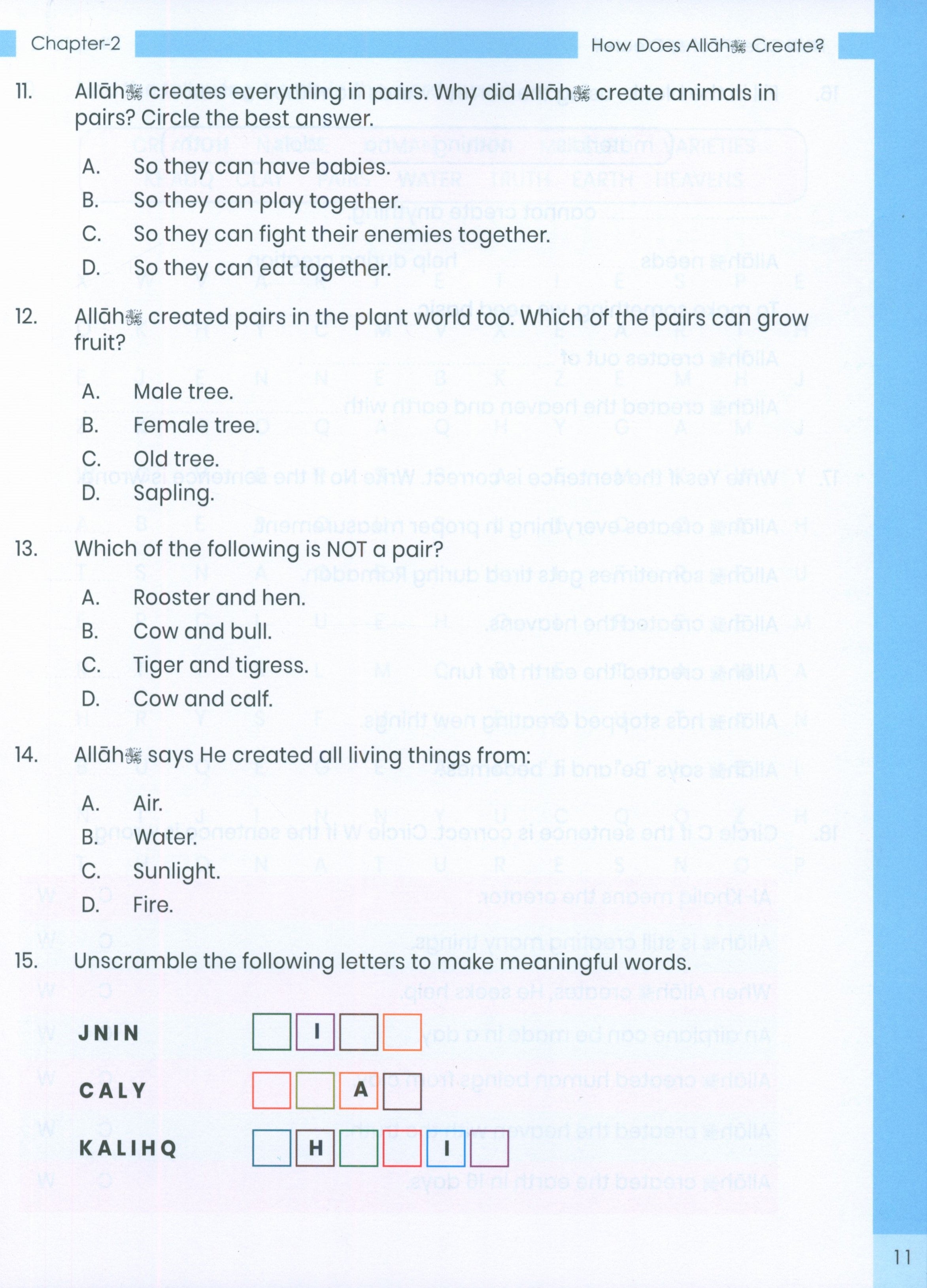 The Message of Islam Workbook Level 2