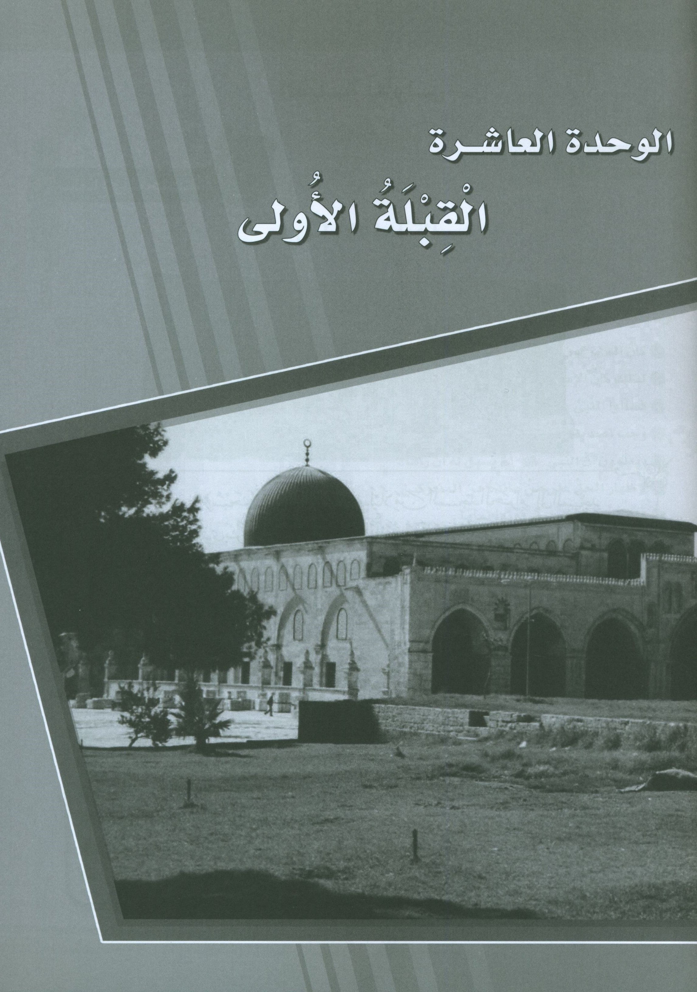 ICO Learn Arabic Workbook Level 8 Part 2 تعلم العربية كتاب التدريبات