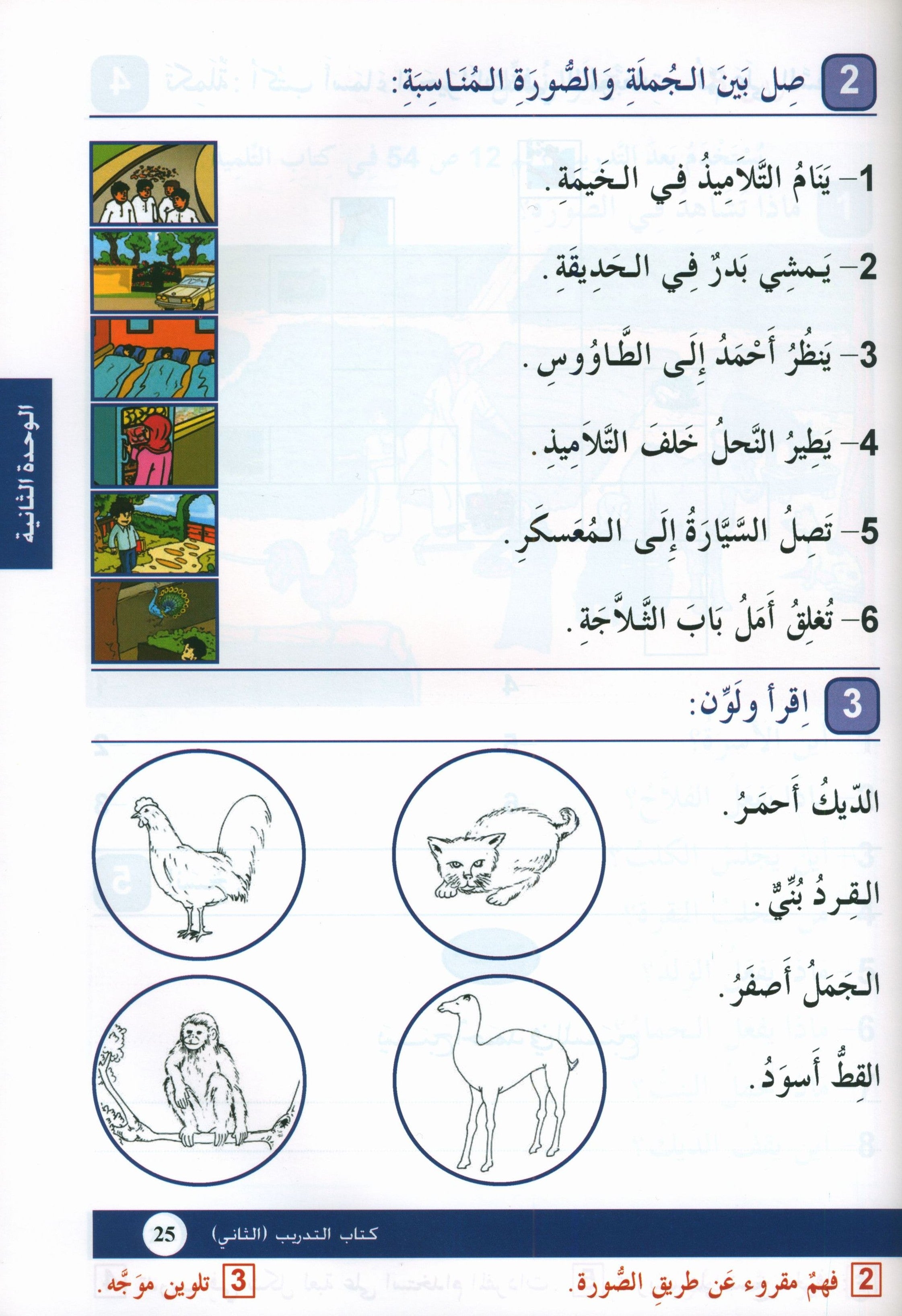 Arabic is the Language of Tomorrow: Workbook Level 2 العربية لغة الغد