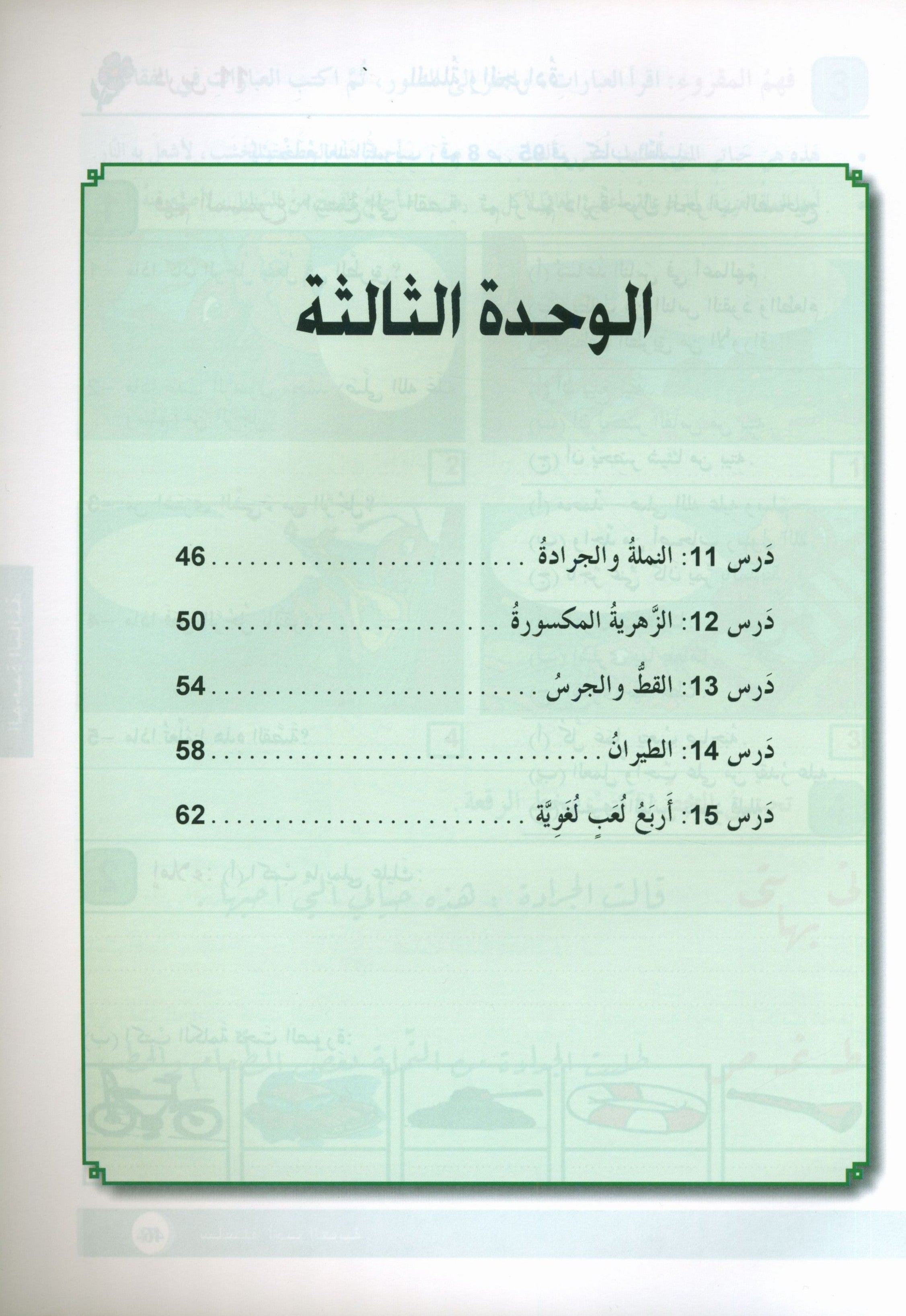 Arabic is the Language of Tomorrow: Workbook Level 3 العربية لغة الغد