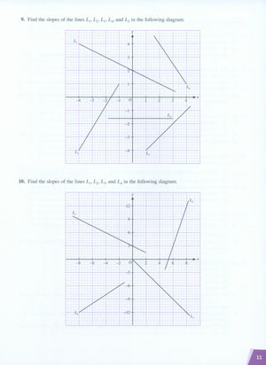 Dimensions Math Workbook 7B