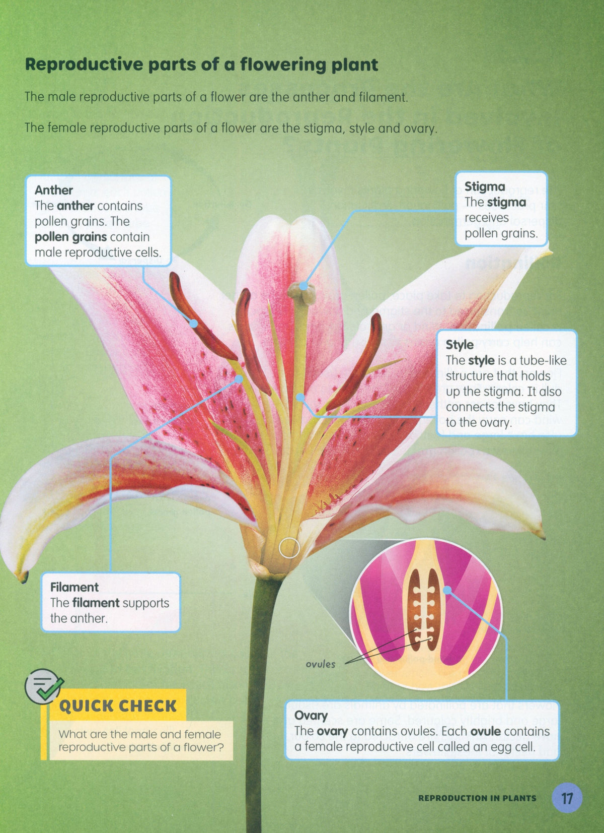 MPH Science Intl (2E) Textbook Primary 6