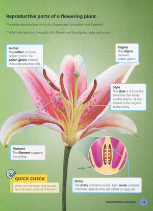 MPH Science Intl (2E) Textbook Primary 6