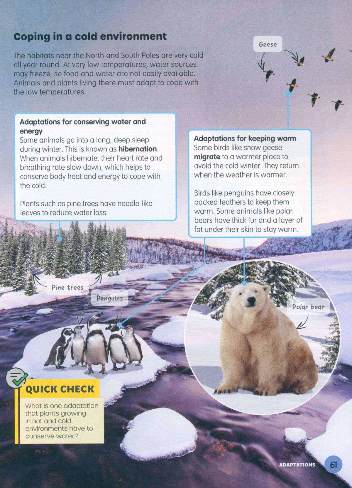 MPH Science Intl (2E) Textbook Primary 6