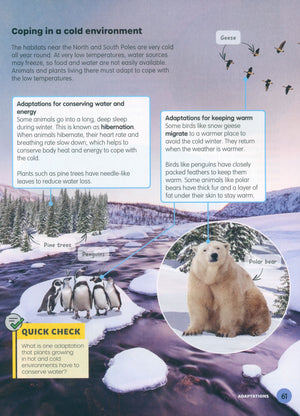 MPH Science Intl (2E) Textbook Primary 6