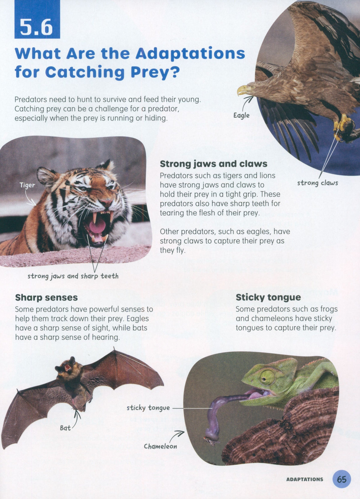 MPH Science Intl (2E) Textbook Primary 6