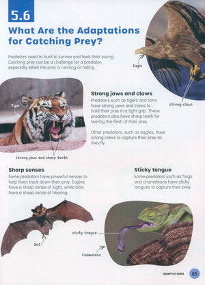MPH Science Intl (2E) Textbook Primary 6