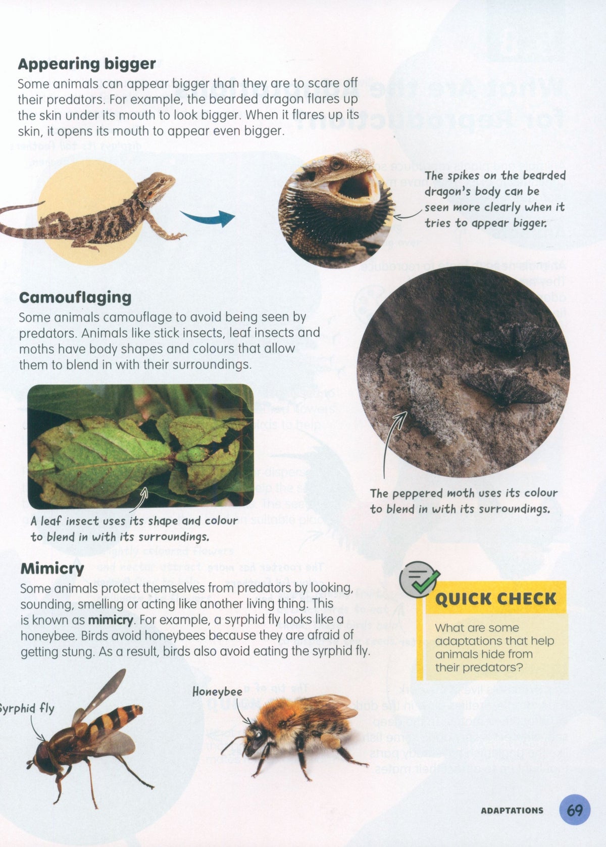 MPH Science Intl (2E) Textbook Primary 6