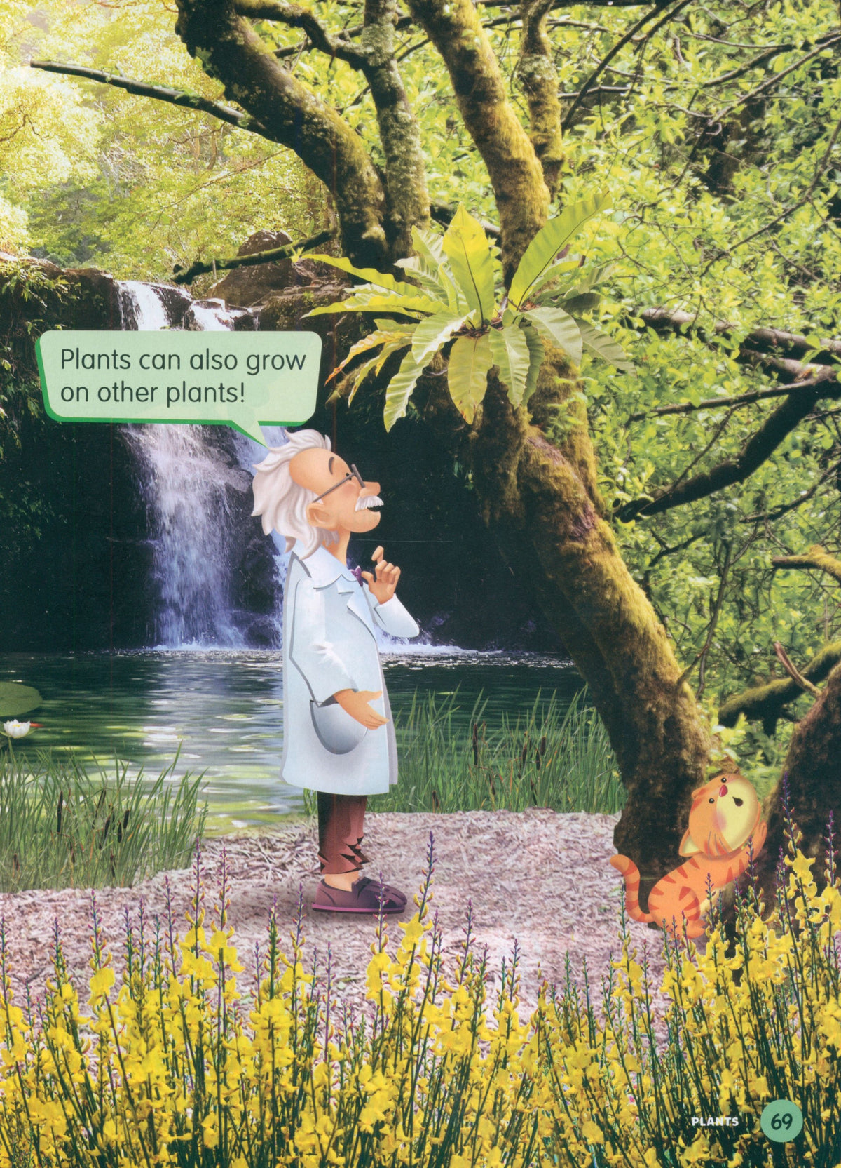 MPH Science Intl (2E) Textbook Primary 1