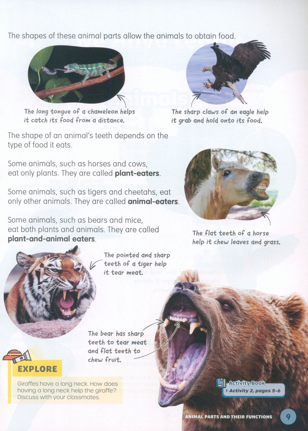 MPH Science Intl (2E) Textbook Primary 4