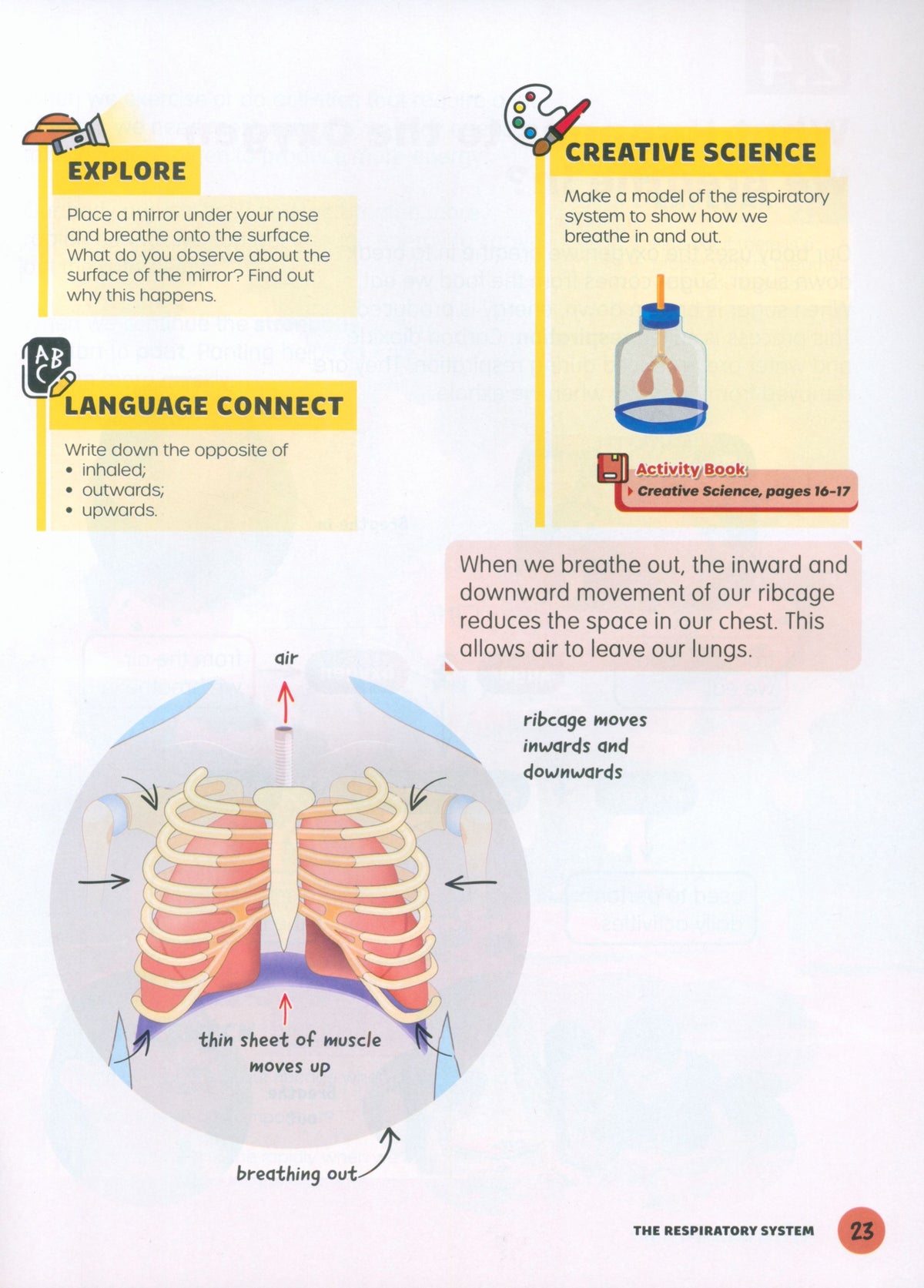 MPH Science Intl (2E) Textbook Primary 5