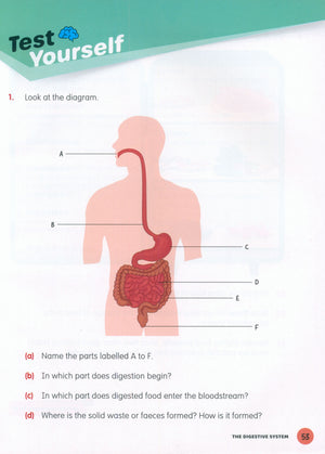 MPH Science Intl (2E) Textbook Primary 5
