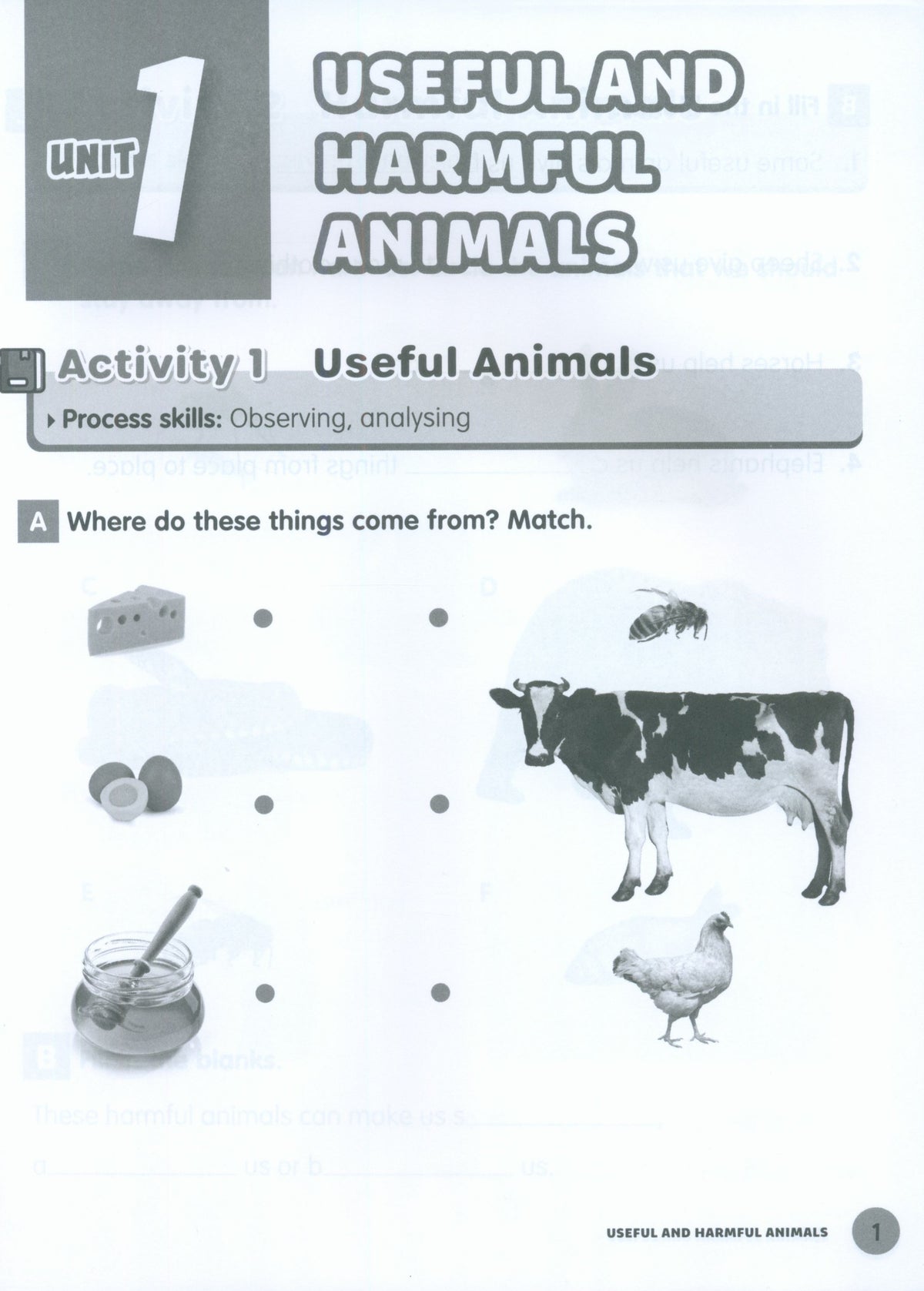 MPH Science Intl (2E) Activity Book Primary 2