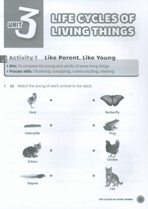 MPH Science Intl (2E) Activity Book Primary 4