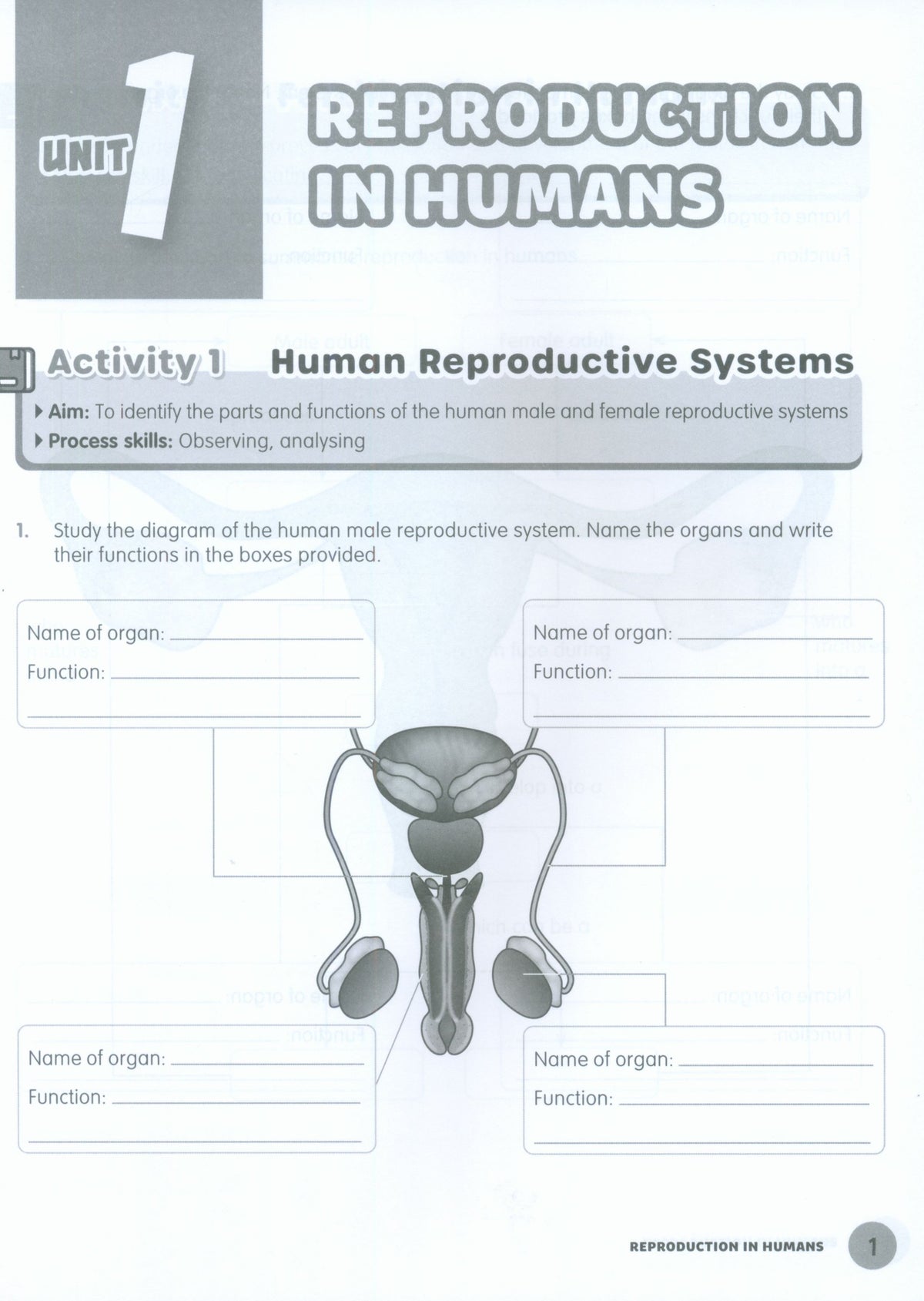 MPH Science Intl (2E) Activity Book Primary 6
