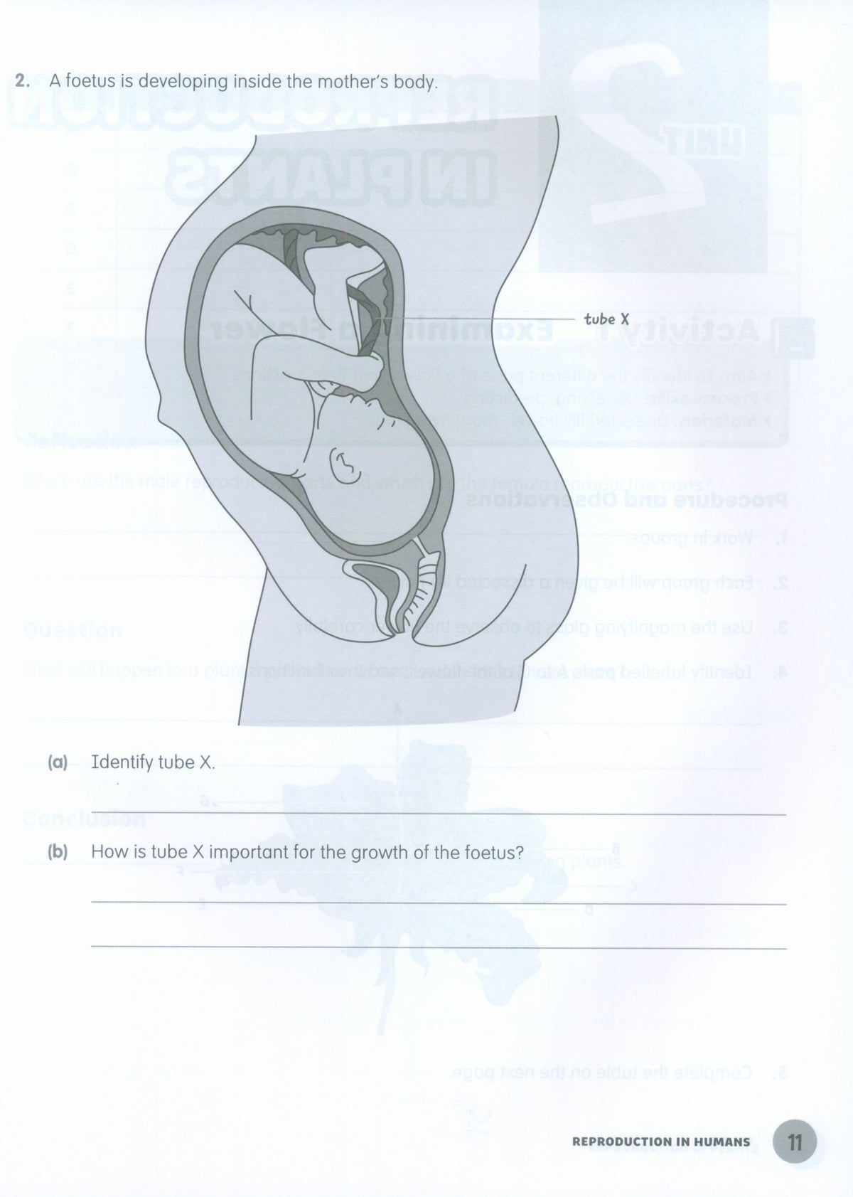 MPH Science Intl (2E) Activity Book Primary 6