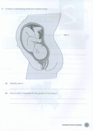 MPH Science Intl (2E) Activity Book Primary 6
