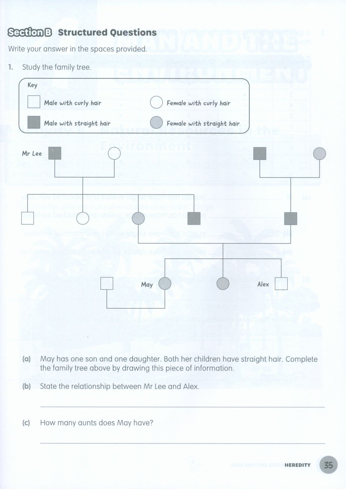 MPH Science Intl (2E) Activity Book Primary 6