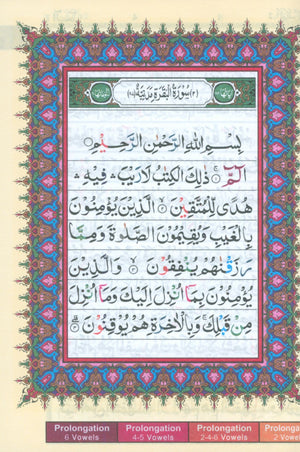 Color Coded Tajweed Quran Indian Calligraphy Size 5 x 7 (Arabic Edition)