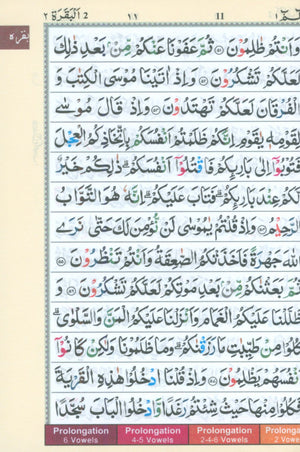 Color Coded Tajweed Quran Indian Calligraphy Size 5 x 7 (Arabic Edition)