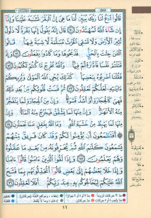 Tajweed Quran without Case 10