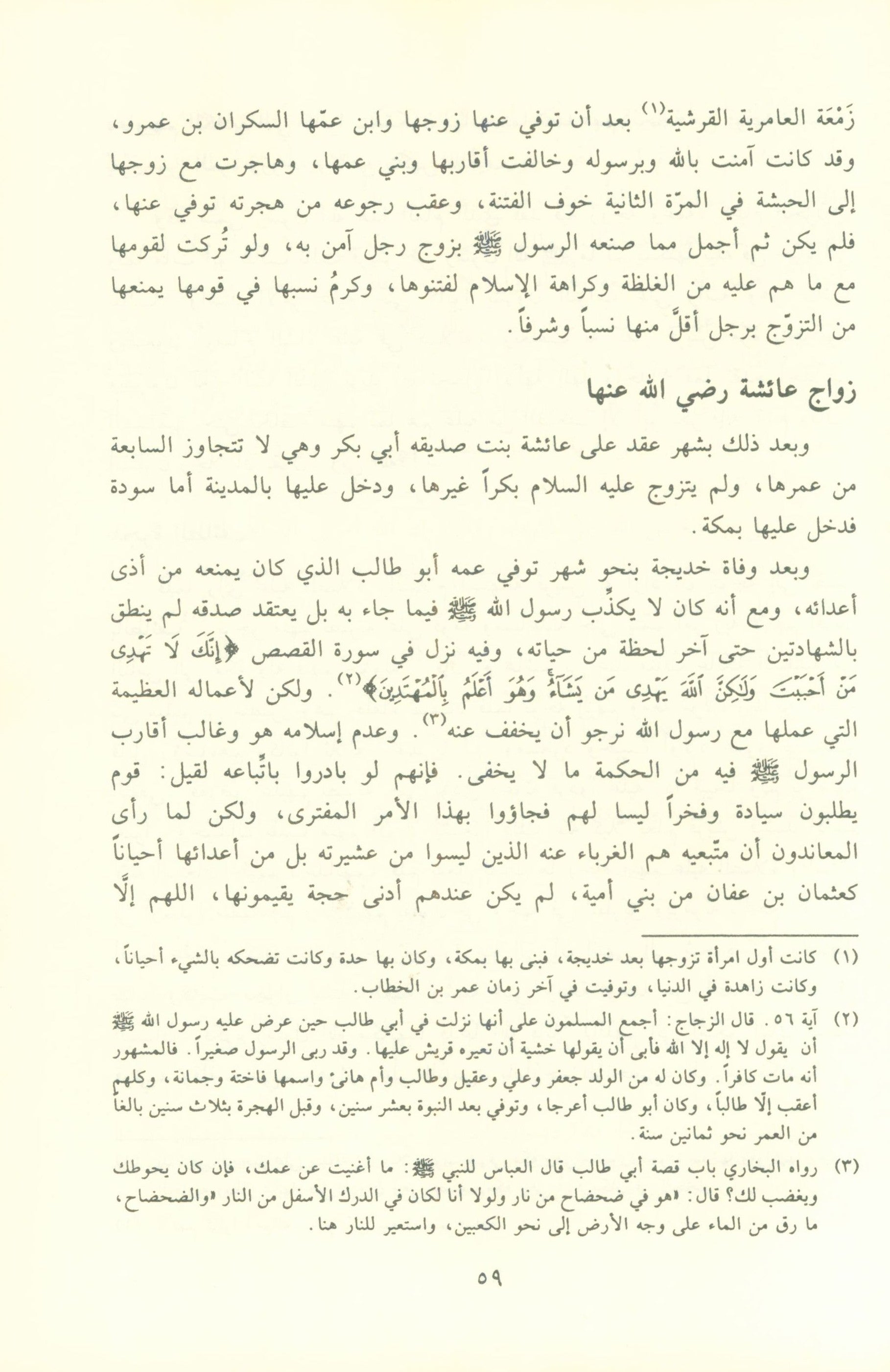 نور اليقين في سيرة سيد المرسلين