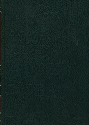 Sharḥ Shudhụr AL-Dhahab شرح شذور الذهب في معرفة كلام العرب