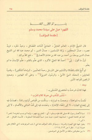 Sharḥ Shudhụr AL-Dhahab شرح شذور الذهب في معرفة كلام العرب