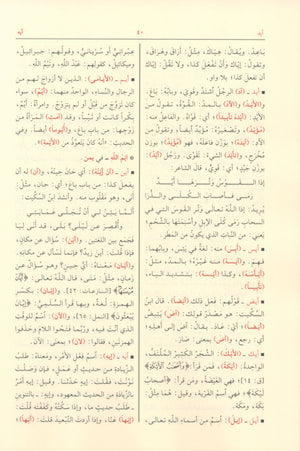 Mukhtar al-Sihah مختار الصحاح