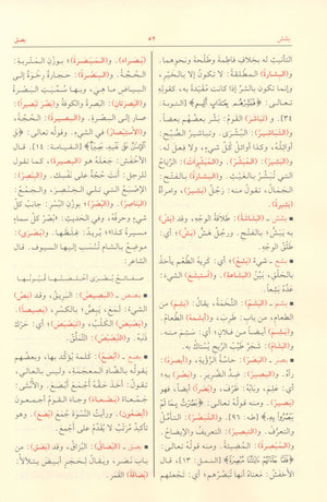 Mukhtar al-Sihah مختار الصحاح