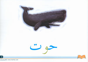 Arabic Friends Flash Cards Level PreK أصدقاء العربية البطاقات التعليمية