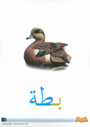 Arabic Friends Flash Cards Level PreK أصدقاء العربية البطاقات التعليمية