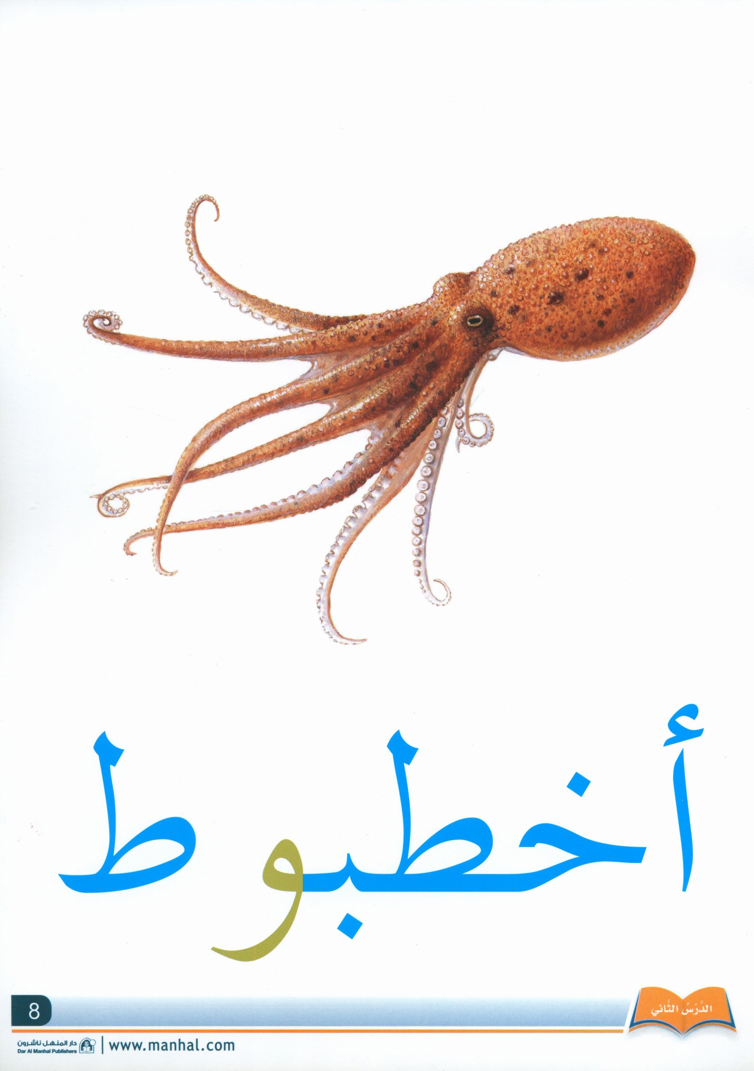 Arabic Friends Flash Cards Level KG أصدقاء العربية البطاقات التعليمية