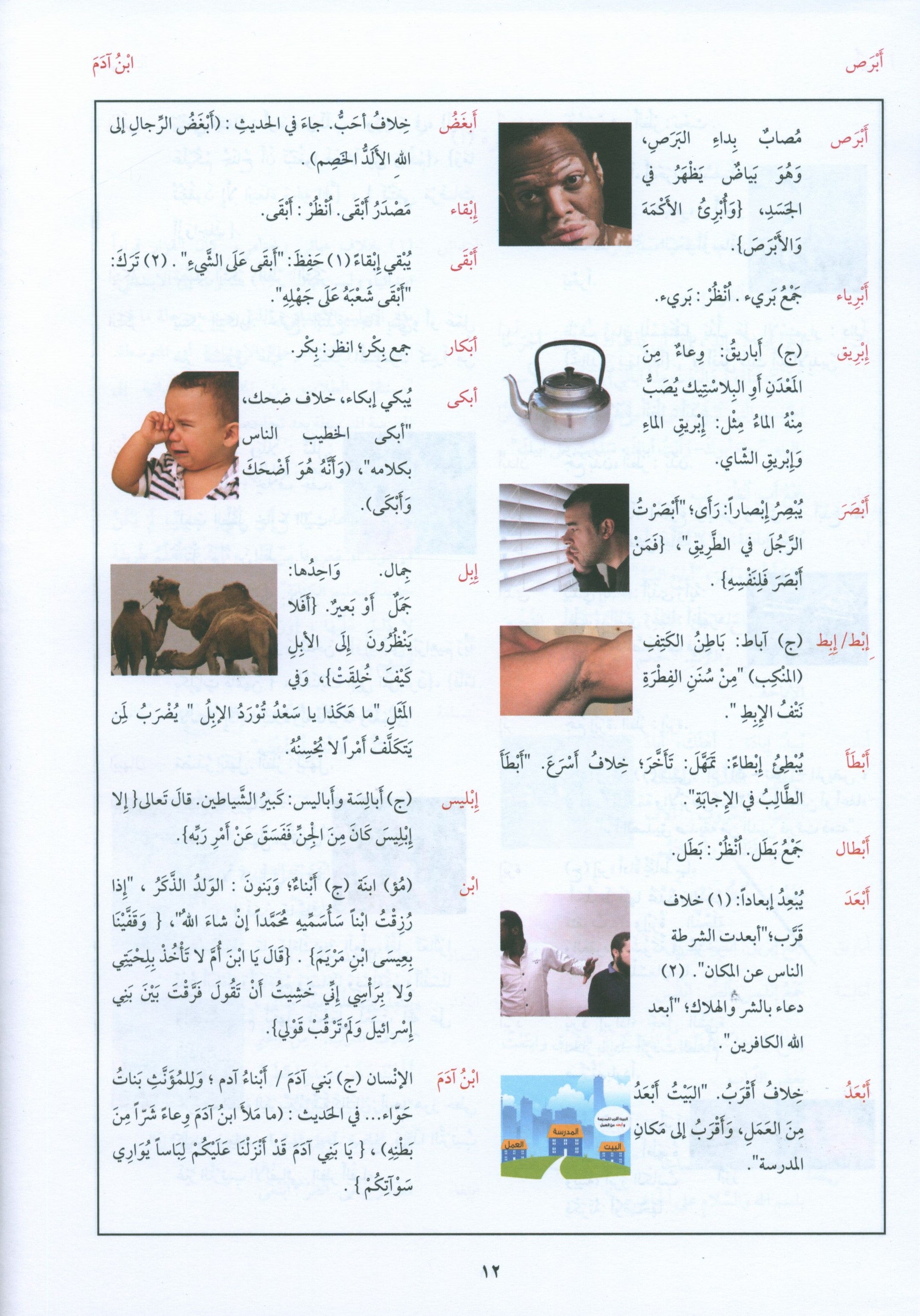 Arabic Between Your Hands Dictionary (Arabic-Arabic) المعجم العربي بين يديك