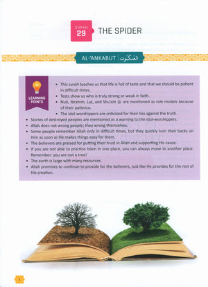 The Clear Quran Tafsir For Kids: Surahs 29-48 (Volume 3)