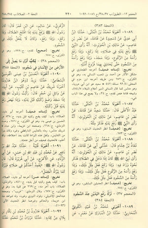 Sunan An-Nasa'i - Arabic سنن النسائي