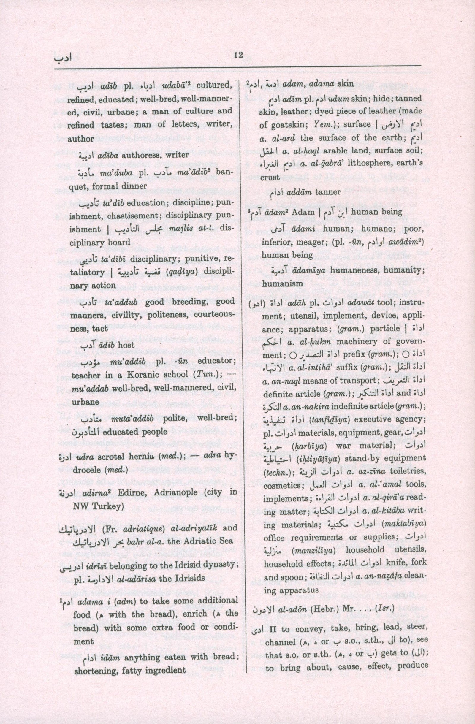 Hans Wehr English-Arabic Dictionary