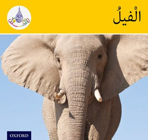قارئات النادي العربي (النطاق الأصفر)