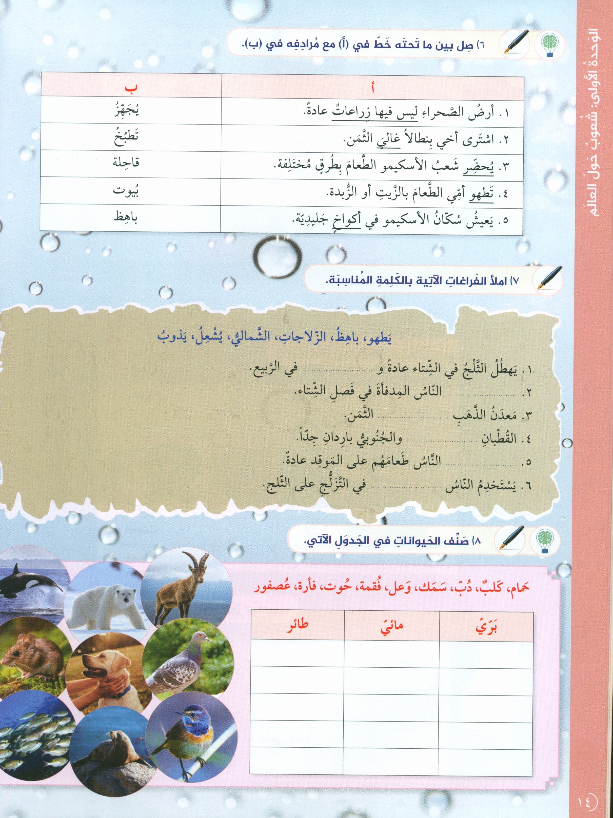 Key to Arabic - Reading And Writing Higher Beginners مفتاح العربية